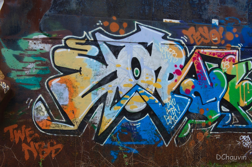 2010-03-conflans-OK (2).jpg